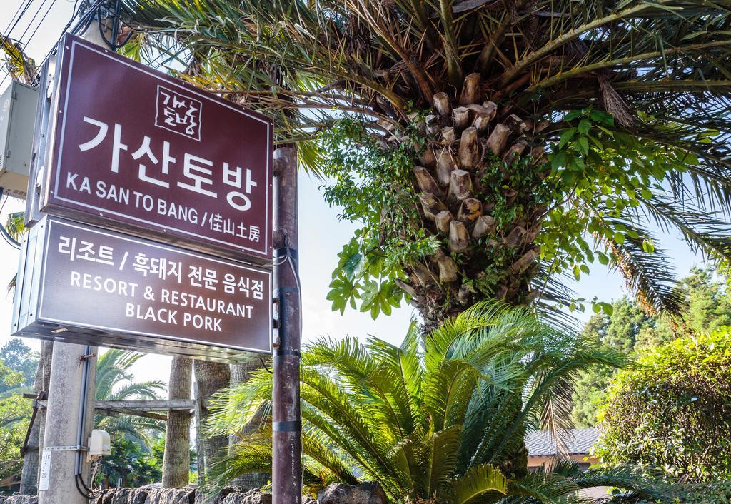 Kasan Tobang Hostel Seogwipo Ngoại thất bức ảnh